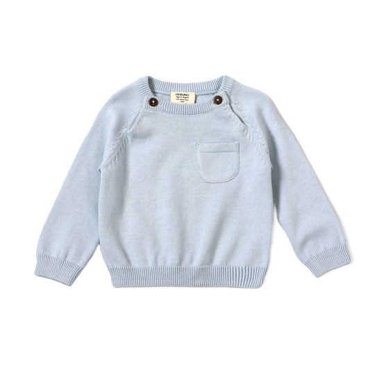 covelNoah Raglan Pullover - Sky Blue - Premium sweater from Viverano Organics - Just $10! Shop now at covel0-12, baby, baby sweater, boys, Fairecovel