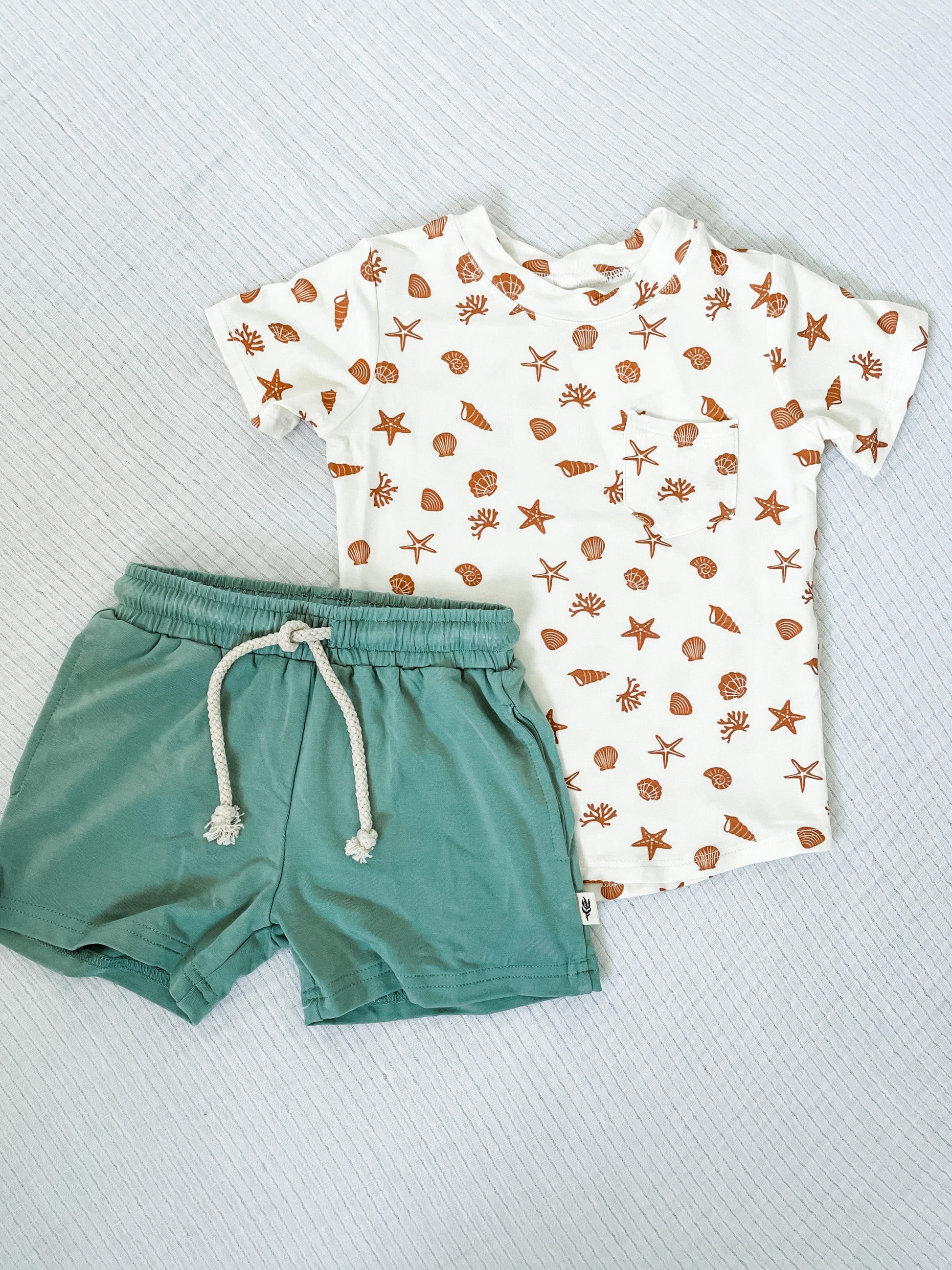 covelLiam Pocket Bamboo Tee - Seashells - Premium t-shirt from babysprouts clothing company - Just $20! Shop now at covel0-12, 12-24, baby, baby top, boys, Faire, kid top, Kids, Toddlercovel
